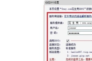 通过正确的DNS设置畅游互联网（解密DNS设置，轻松上网畅快体验）