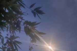 探究尼采手机399元的性能和性价比