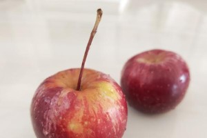 苹果澳大利亚版（探索新一代苹果产品在澳大利亚市场的表现）