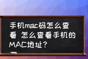 如何查看手机的MAC地址（轻松掌握查看MAC地址的方法）