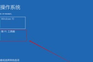 Win10微PE安装系统教程（学会使用Win10微PE快速安装系统，轻松解决系统问题）