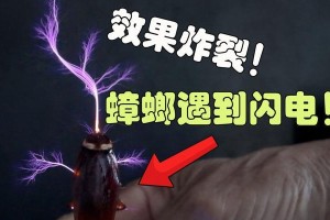 被雷电劈中会怎么样？（揭开雷电劈中的神秘面纱，深入探索其影响与救治方法）