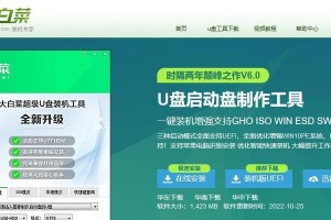 大白菜U盘启动系统教程Win7（利用大白菜U盘快速启动Win7系统，打造高效办公环境）