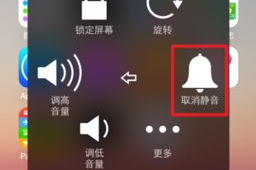 苹果手机震动没有了
