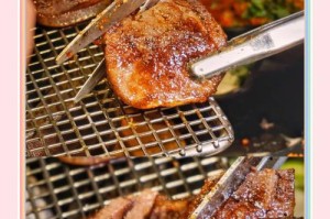 成都烤肉（电脑教程帮助你成为烤肉大师，掌握成都烤肉的绝技）