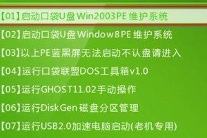 电脑店3.3不进PE装系统的解决方法（详解电脑店3.3不进PE装系统的故障原因和解决步骤）