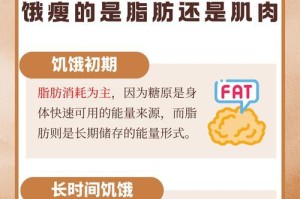 摄入热量过少对健康的影响（饮食不均衡引发的身体问题及预防措施）