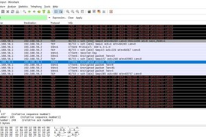 SSK使用教程（从入门到精通，掌握SSK的加密技巧和应用方法）