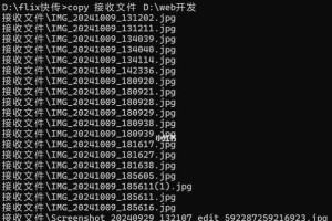 从头到尾（掌握DOS装系统的步骤和技巧）