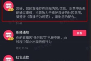 以小自播现状——创新、发展与挑战（小自播的关键之路与未来）