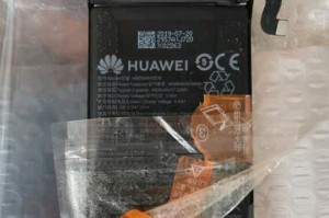 以诺西电池（可持续能源发展的关键一步，以诺西电池的卓越性能和环保特性）