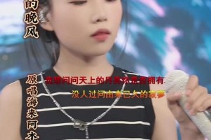 电脑晚风歌词教程高级使用指南（轻松学会电脑晚风歌词的高级技巧）