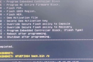 使用U启动制作UEFI系统的完整教程（从零开始，轻松打造专属的UEFI启动系统）