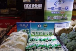 金针菇的种植方法全过程（从选种到收获，打造高产金针菇种植场）