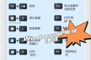 电脑新手教程（一步步教你开启电脑的奇妙世界）