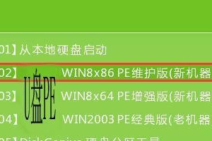 苹果win10双系统U盘安装教程（详细教你如何在苹果电脑上使用U盘安装win10双系统）